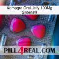 Kamagra Oral Jelly 100Mg Sildenafil 13